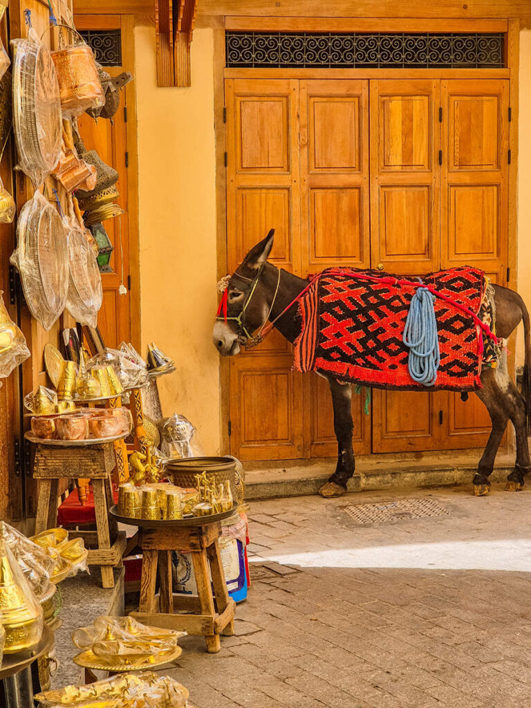 Esel in der Medina von Fès