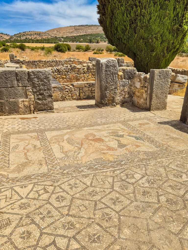 Mosaiken Haus von Venus in Volubilis