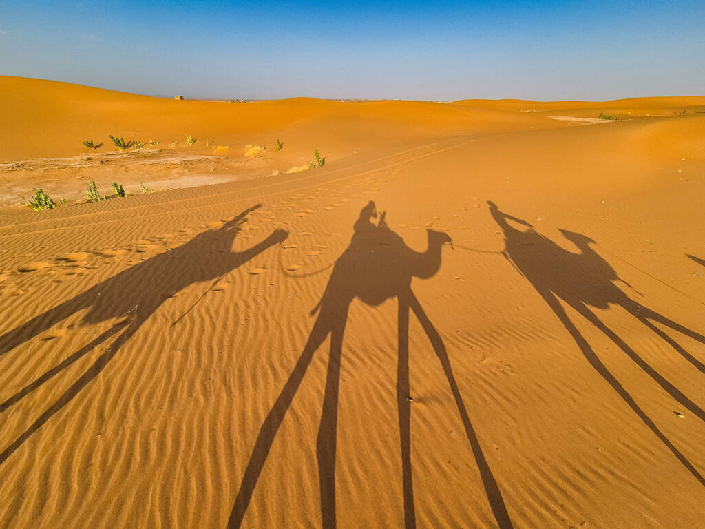 Kamelritt Erg Chegaga