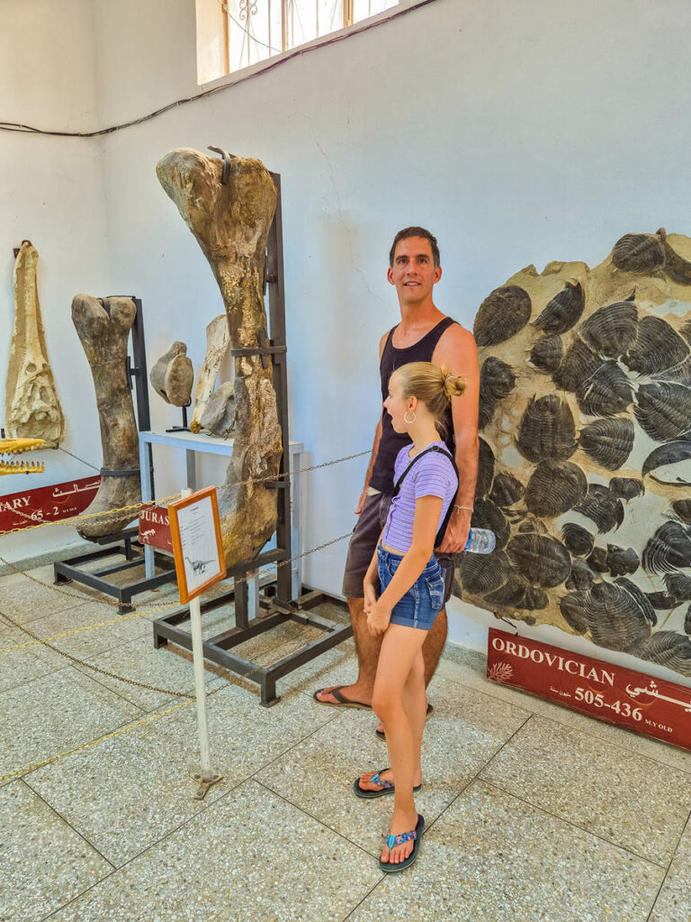 Kochen der Atlasaurus in dem Tahiri Museum of Fossils