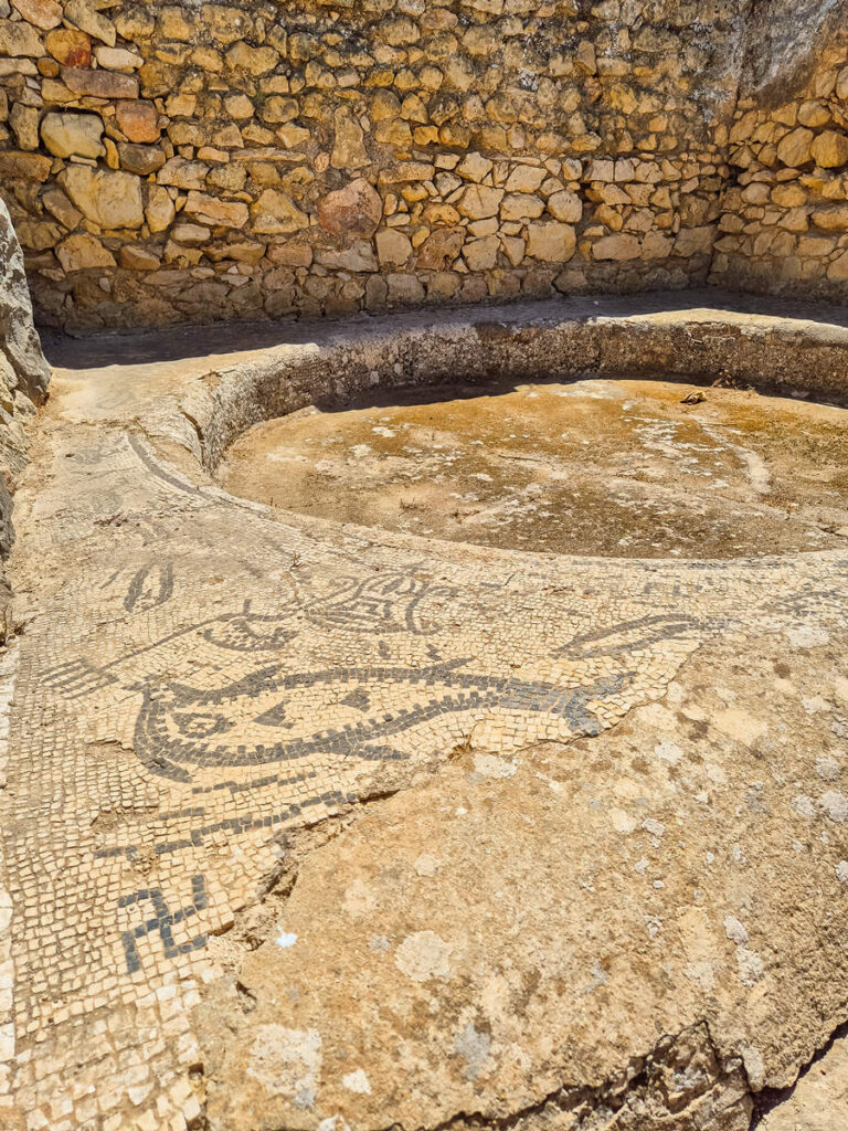 Nymphenhaus Volubilis