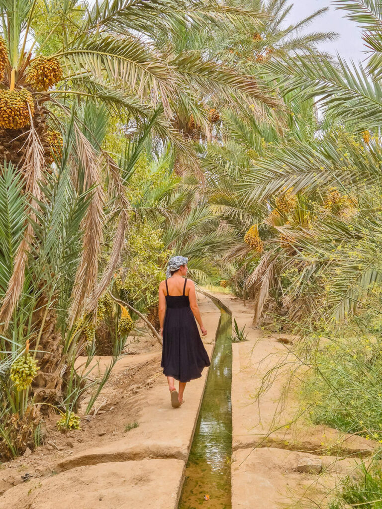 Oase von Hassilabied