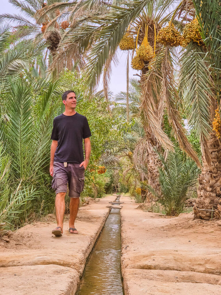 Oase Merzouga Palmenhain