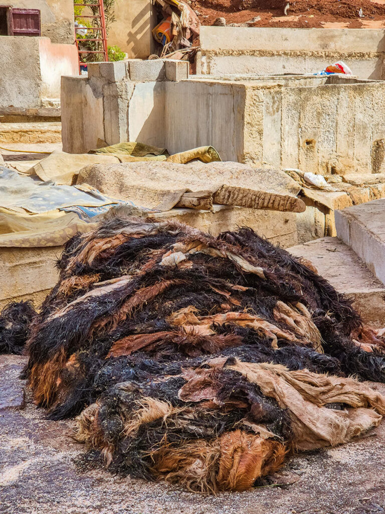 Ziegenfell Gerberei Marrakesch