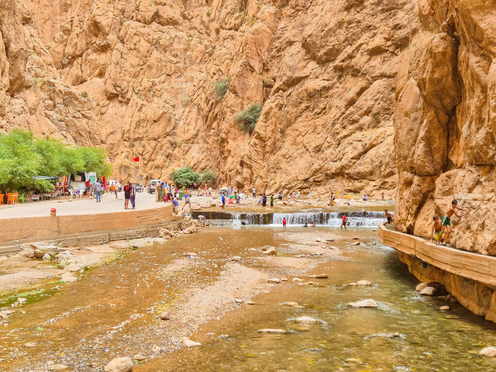 Mushuklarning yaqindan olingan fotosuratlari Onlayn svingerlar porno