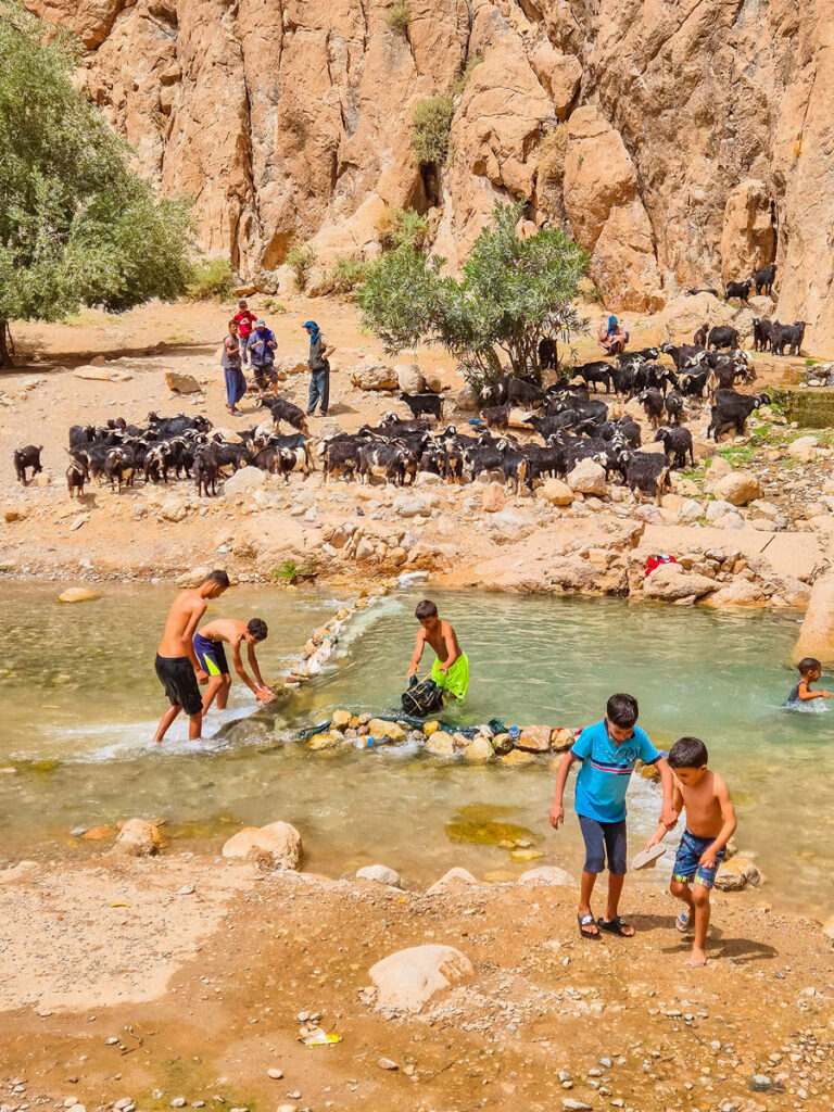 Todra-Schlucht Kinder spielen im Wasser
