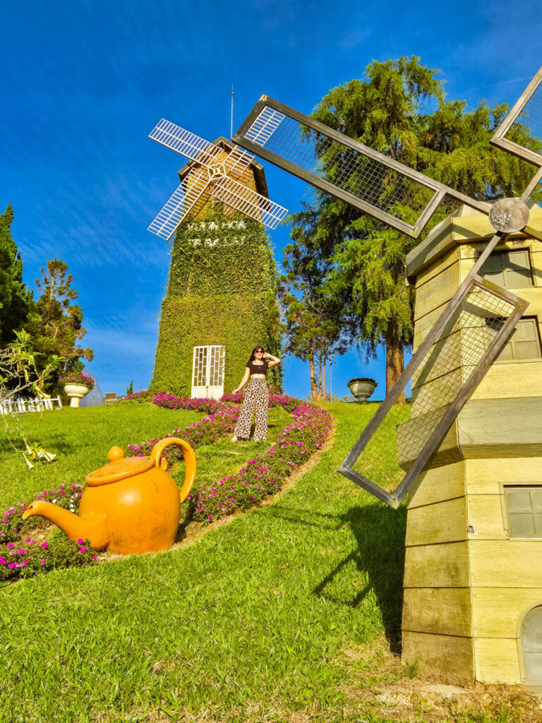 Da Lat City Flower Garden