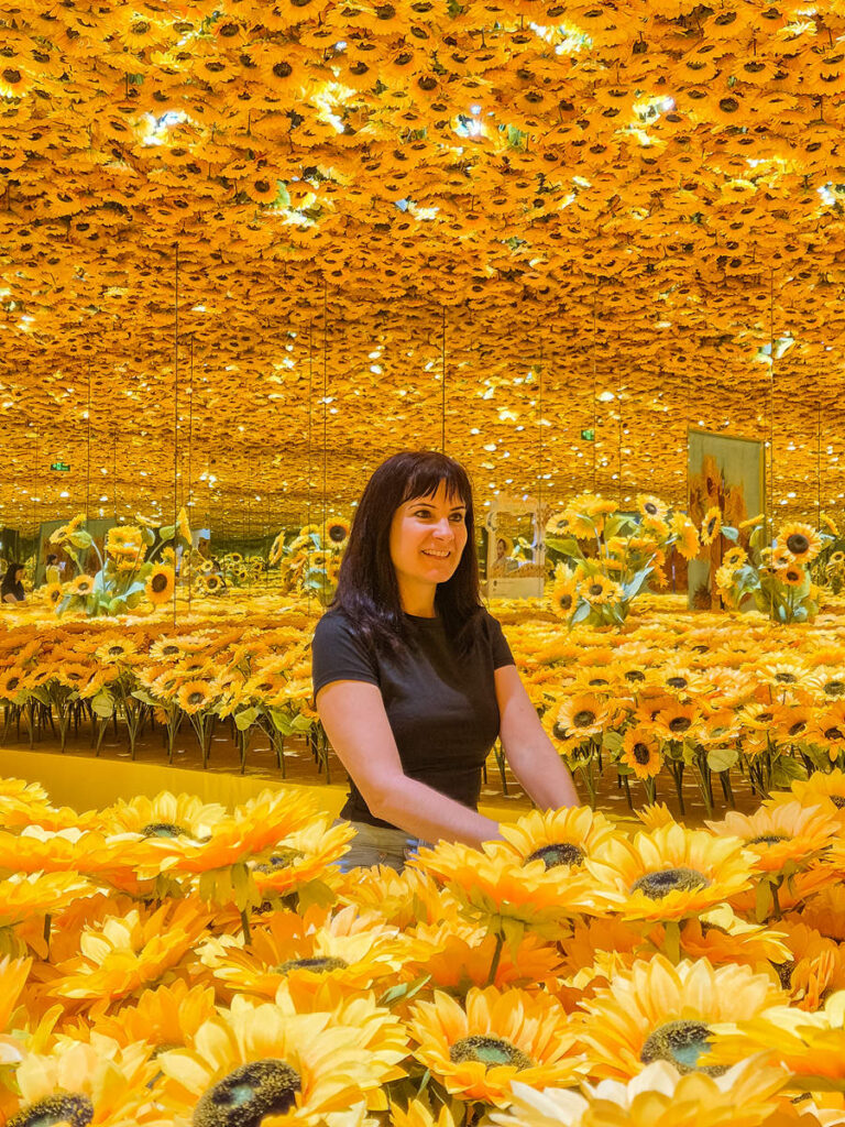 Meta Show Ho Chi Minh City