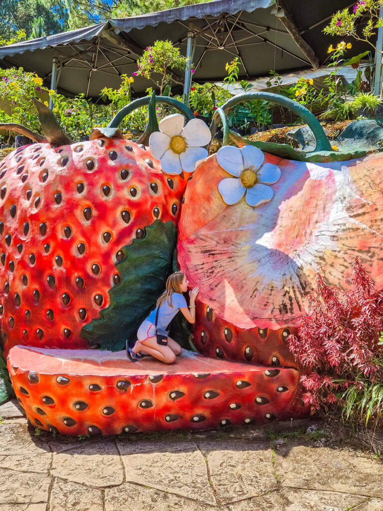 Sculpture Garden Da Lat Erdbeer