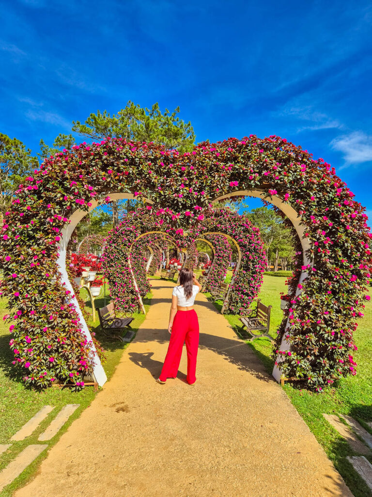 Valley of Love Da Lat