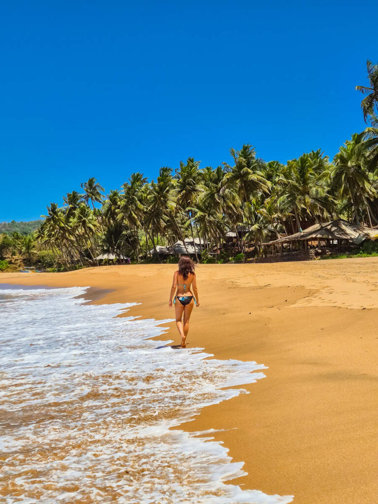 Cola Beach Goa