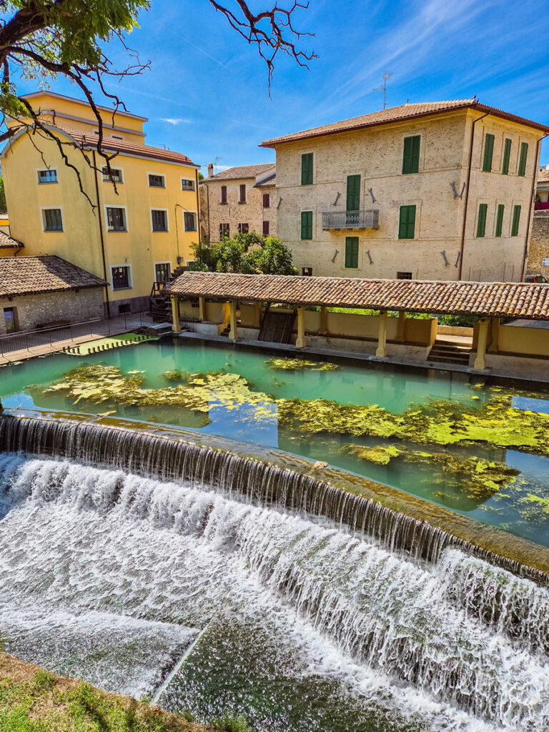 Accolta sul Clitunnoin Bevagna